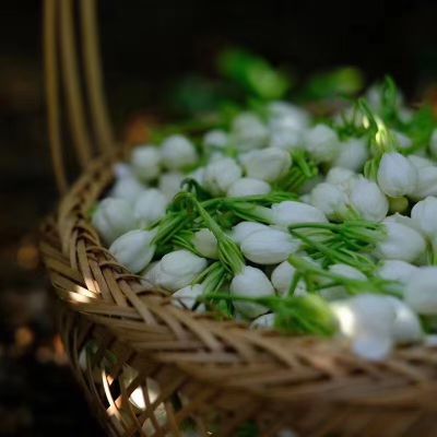 Thé Vert Jasmin Dragon - Langage du Thé (1) Thé Vert Jasmin Dragon - Langage du Thé