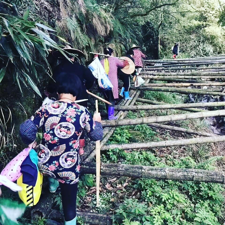 The Fujian Vieux Théier Fume (2)