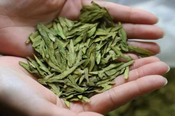 thé vert primeur 2026 long jing, parcelle shi feng, cueillette manuelle pour thé de luxe
