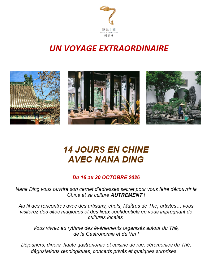 Voyage en Chine - home - flyer